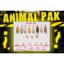 UNIVERSAL Animal Pak 44 Packs